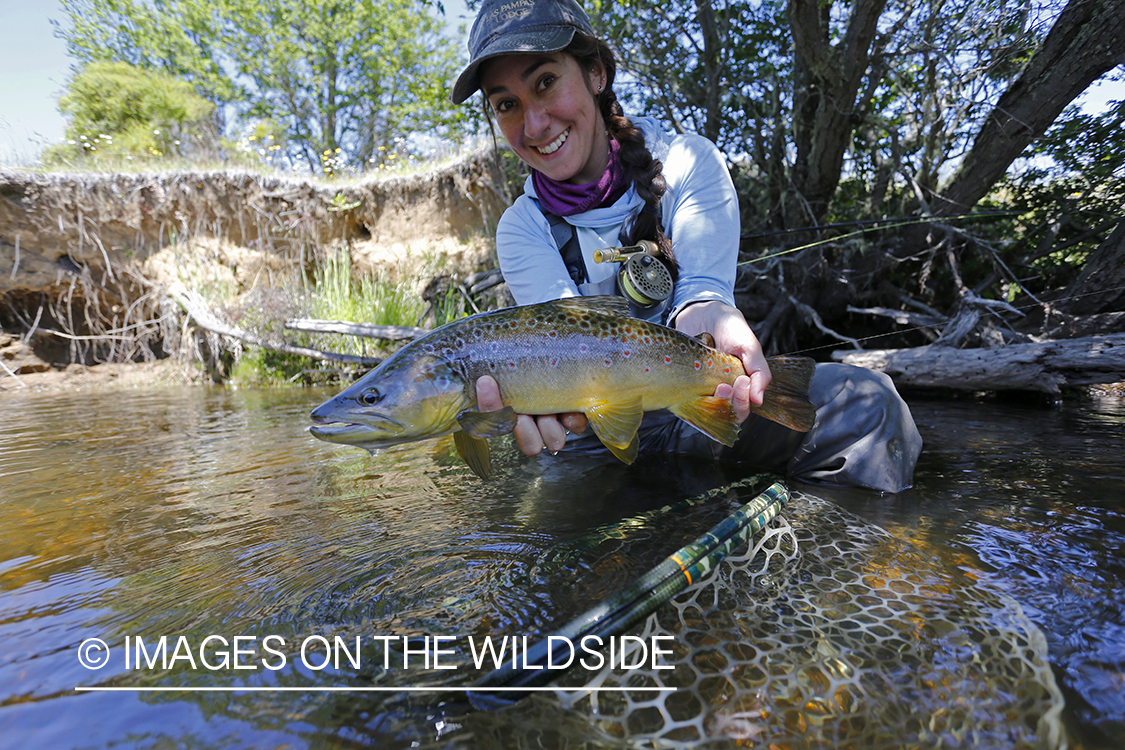 Flyfishing woman releasing brown trout.