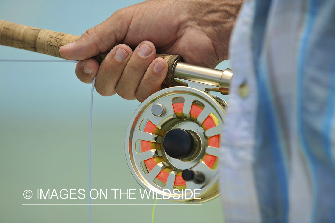 Reel for saltwater flyfishing.