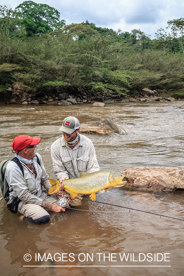 Flyfishing for Golden Dorado in Bolivia.