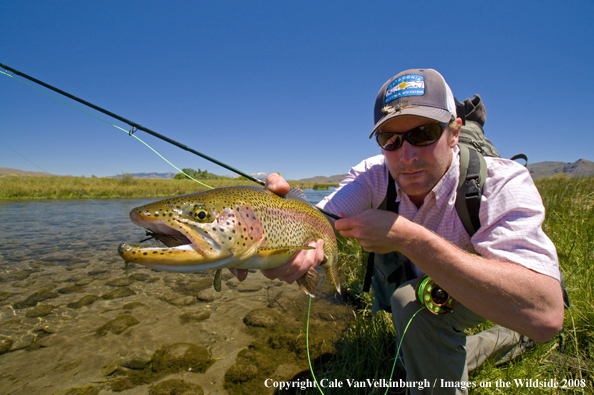 Rainbow Trout Catch