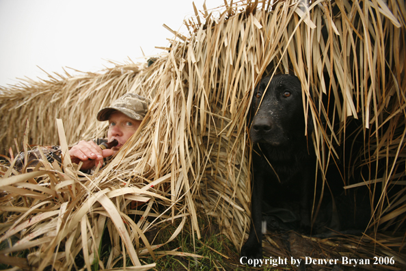 Duck hunting in winter