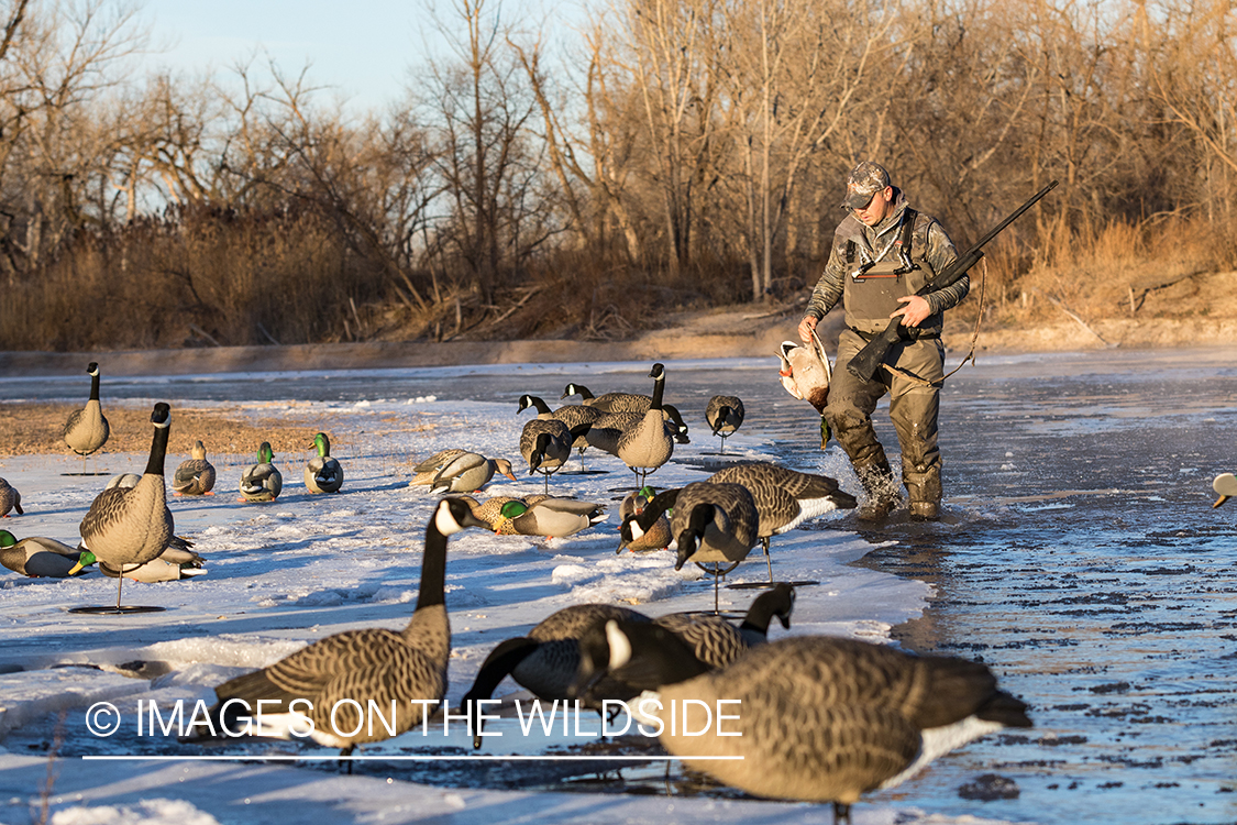 Waterfowl hunting