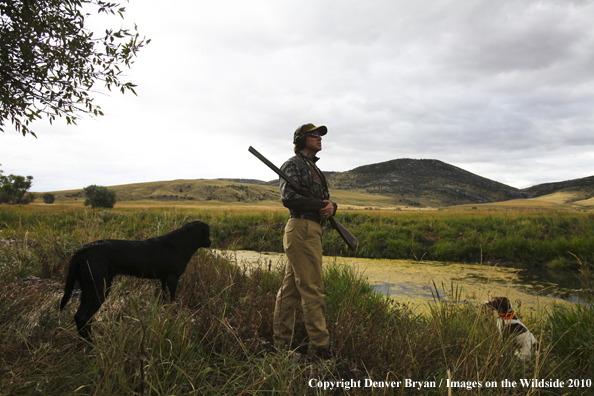 Dove Hunting