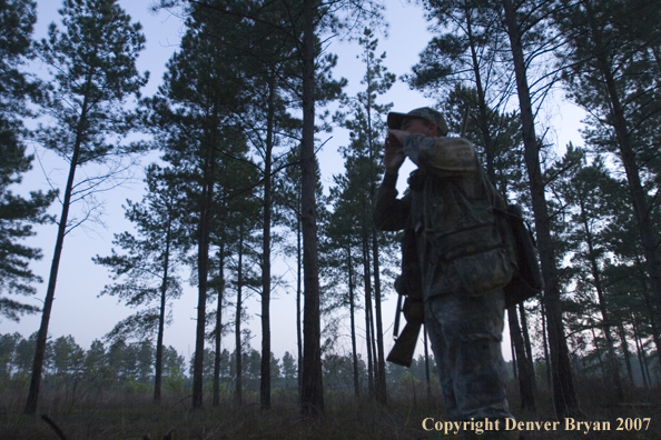 Turkey hunter calling in the field