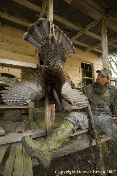 Turkey hunter in field with bagged bird