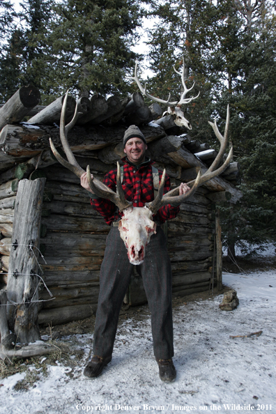 Elk hunters with bagged bull. 