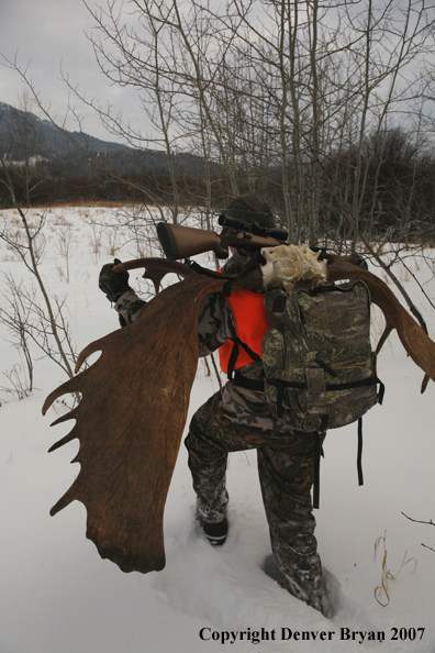 Moose hunter in field