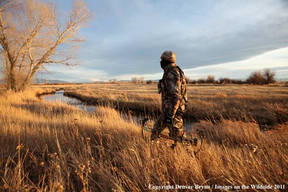 Bowhunter walking through field. 