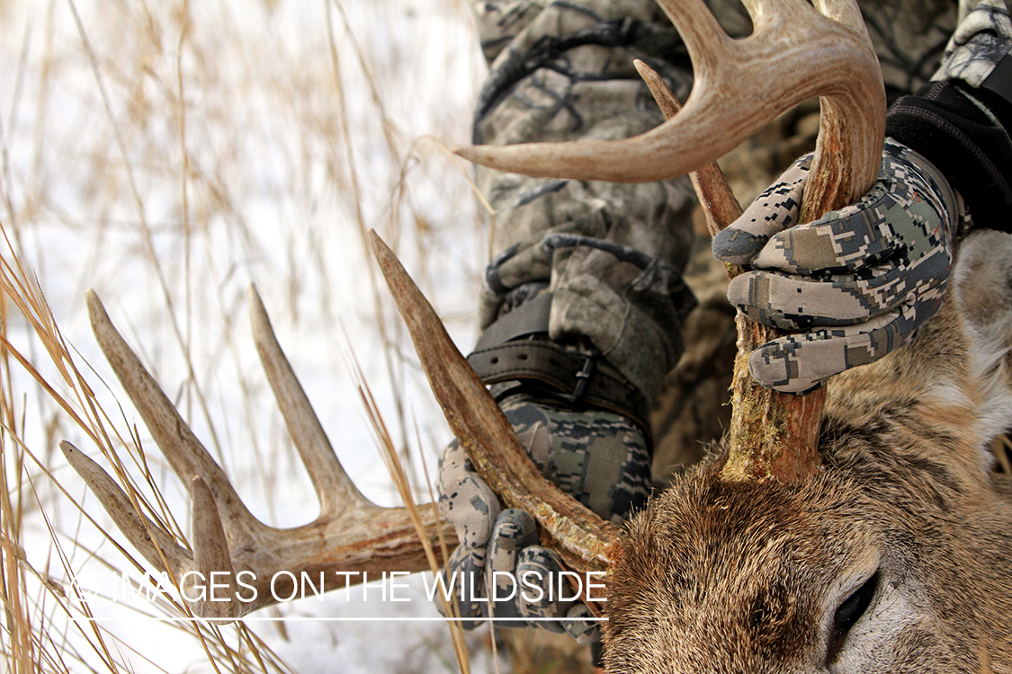 Bowhunter holding bagged white-tailed buck antlers.