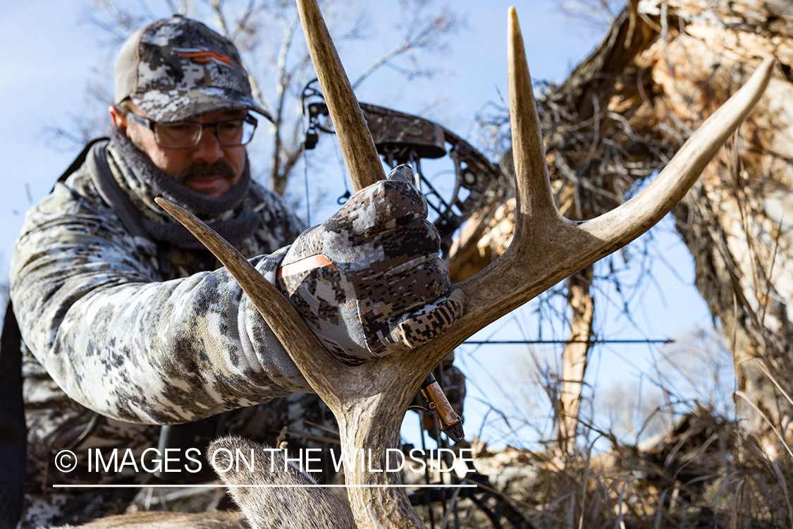 Bow hunter with downed white-tailed deer.