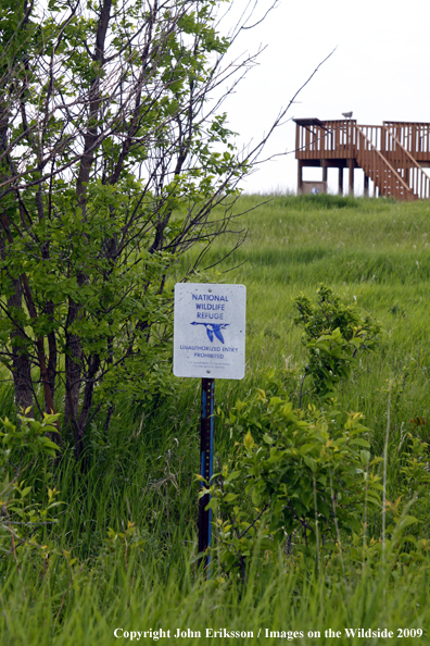 Sign posted on wetlands