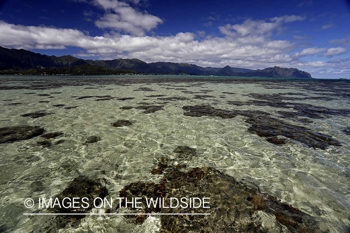 Hawaii’s flats landscape. 