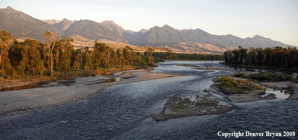 Yellowstone River, Paradise Valley Montana