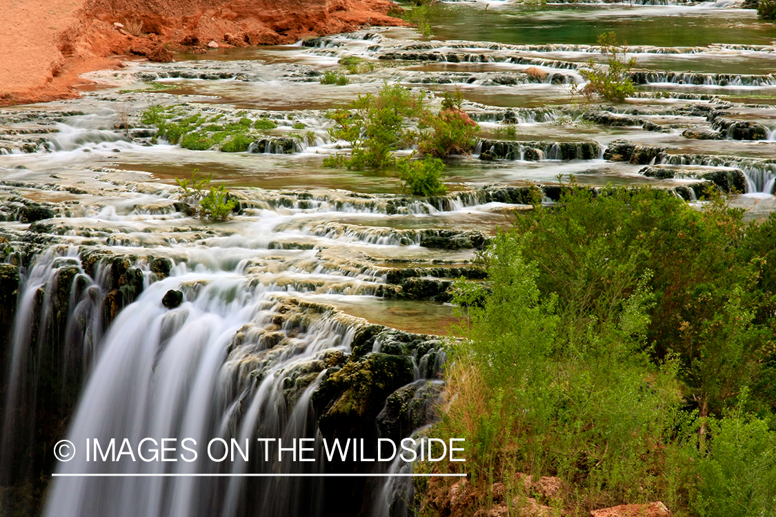 Small waterfall on Havasu Creek.