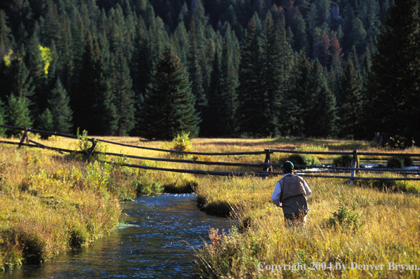 Flyfisherman casting in river.