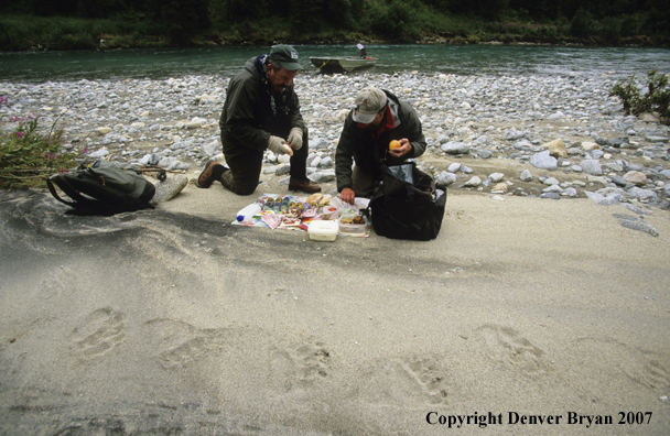 Flyfishermen getting ready eat lunch with grizzly footprints in foreground