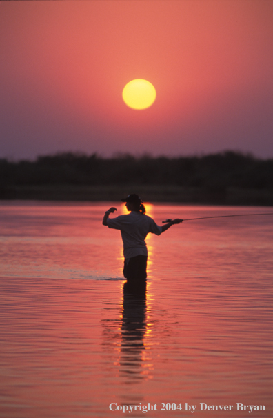 Woman flyfishing at sunrise/sunset.