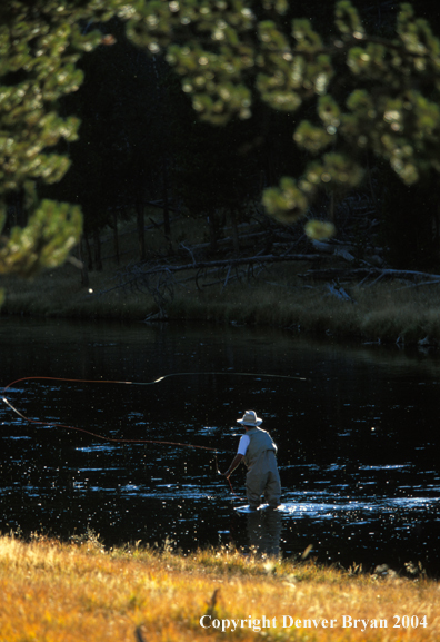 Flyfisherman casting during a hatch.