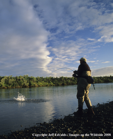 Angler hooks into large fish