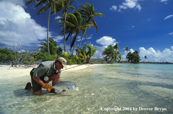 Saltwater flyfisherman releasing trevally.