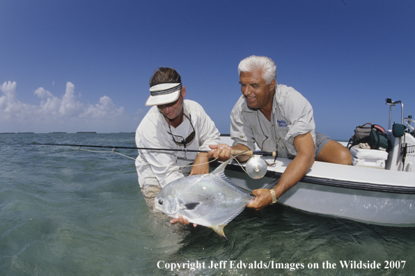 Nice Permit