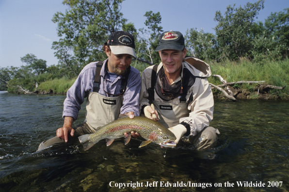 Rainbow Trout