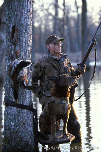 Waterfowl hunter with chocolate Lab and bagged ducks. 