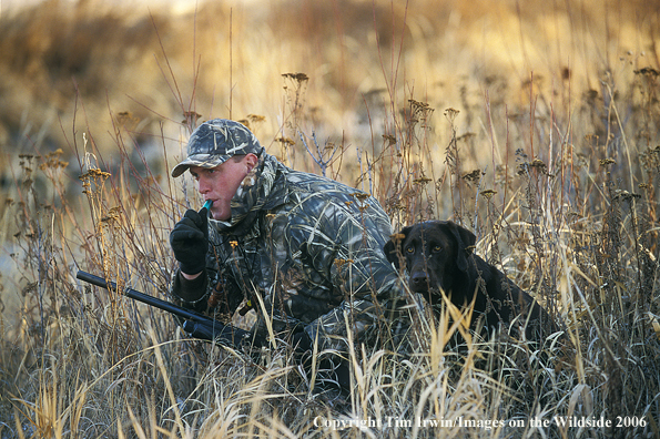 Duck hunter and chocolate lab