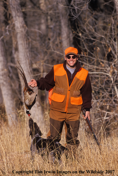 Upland game bird hunter with bagged pheasant and German Shorthair Pointer.    