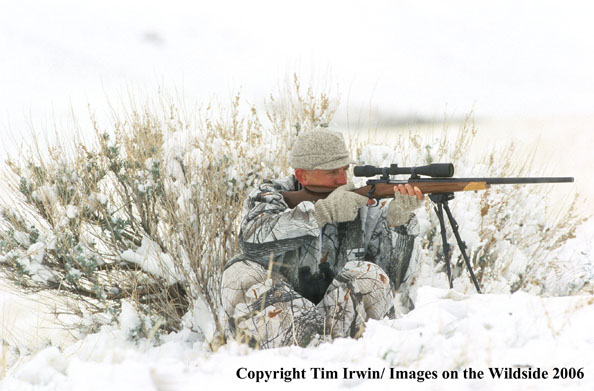 Coyote hunter in the snow.