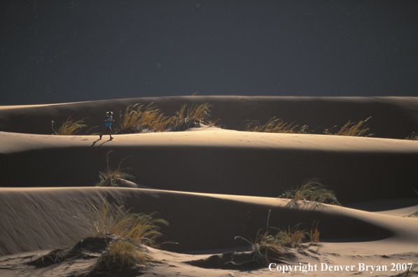 Woman running on sand dunes in Sossusvlei park, Namibia. Africa