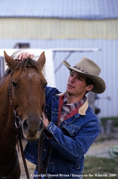 Rider putting headstall on horse