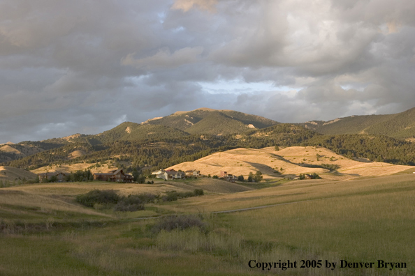 Landscape of Montana fields with a home in the background.