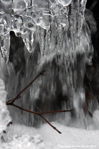 Icicles 