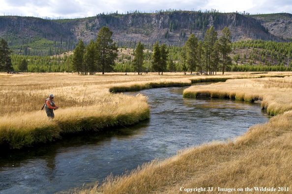 Flyfishing on the Firehole River, Yellowstone National Park. 