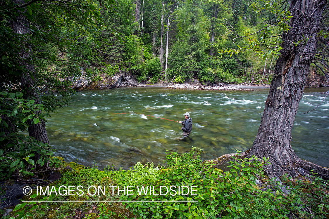 Flyfisherman spey casting on Nakina River, British Columbia.