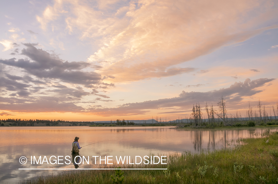 Flyfishing woman on Hebgen Lake, Montana.