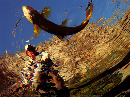 Flyfisherman with brown