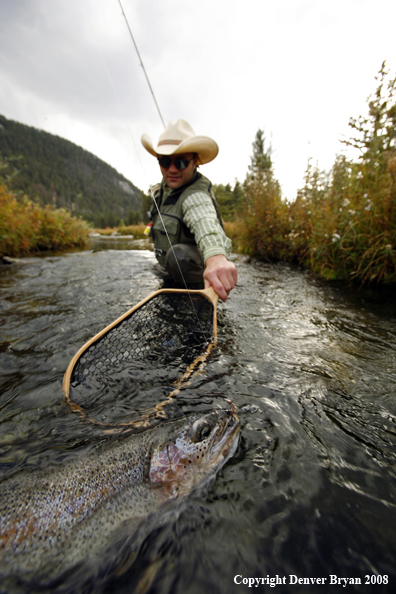 Flyfisherman with Rainbow Trout