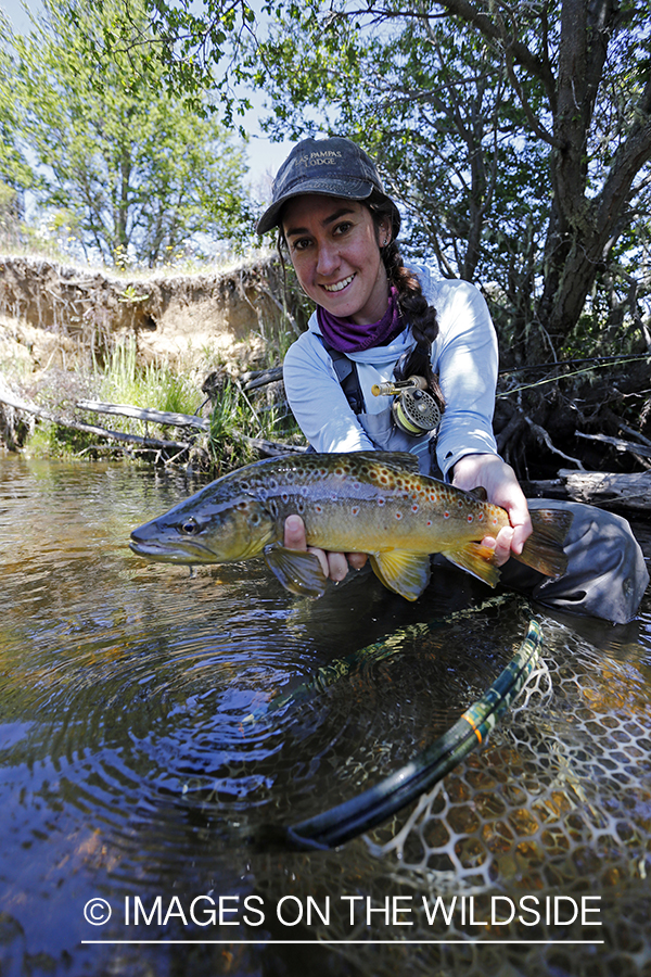 Flyfishing woman releasing brown trout.