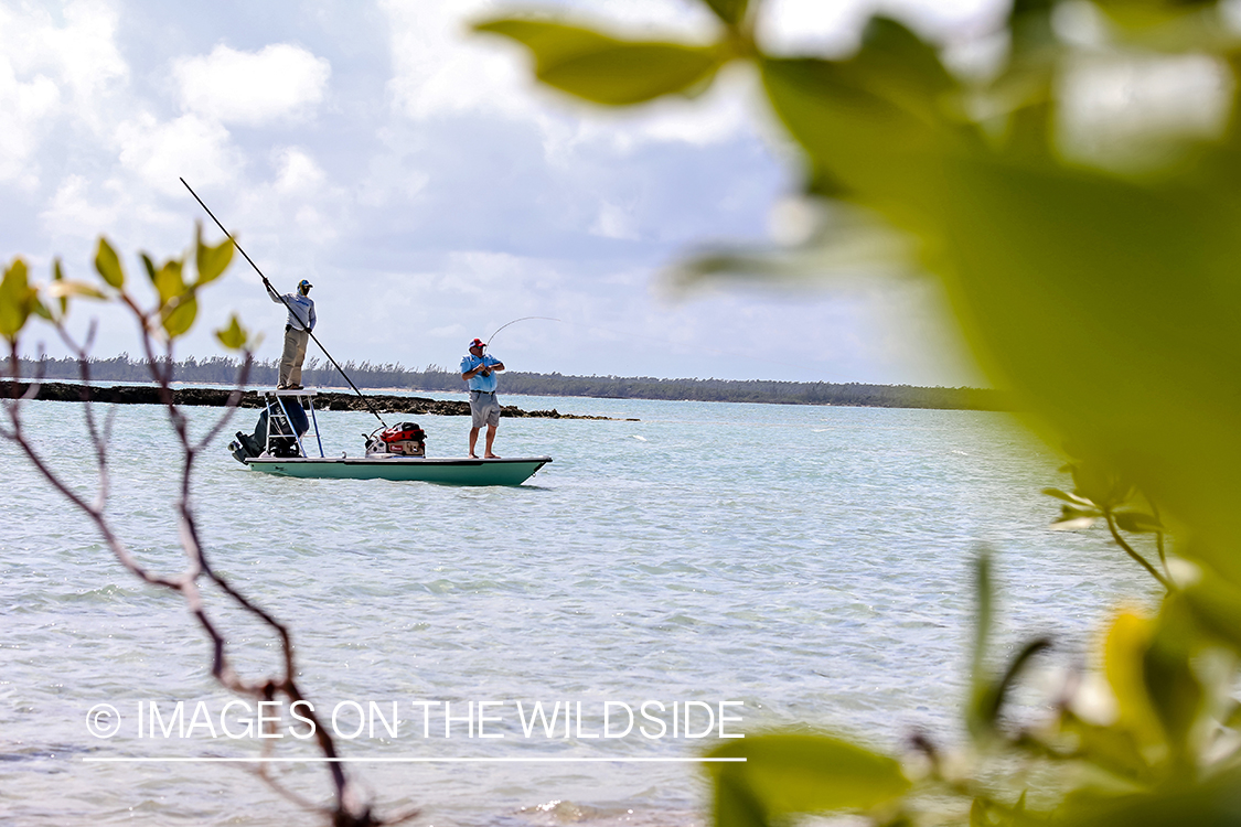 Flyfisherman fighting bonefish.