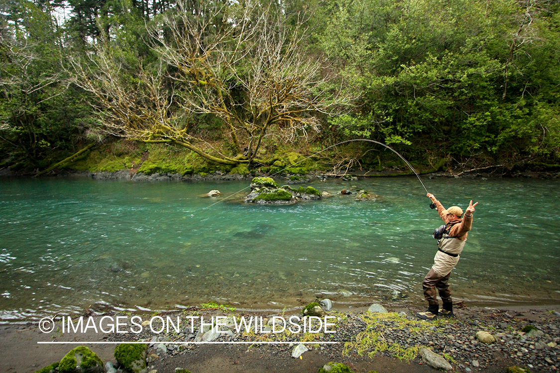 Flyfisherman with fish on. 