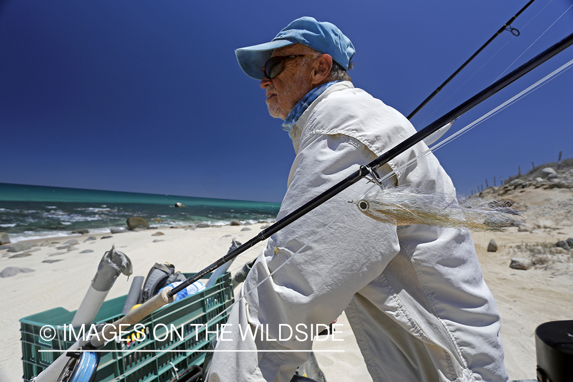 Chasing roosterfish on Baja Peninsula, Mexico.