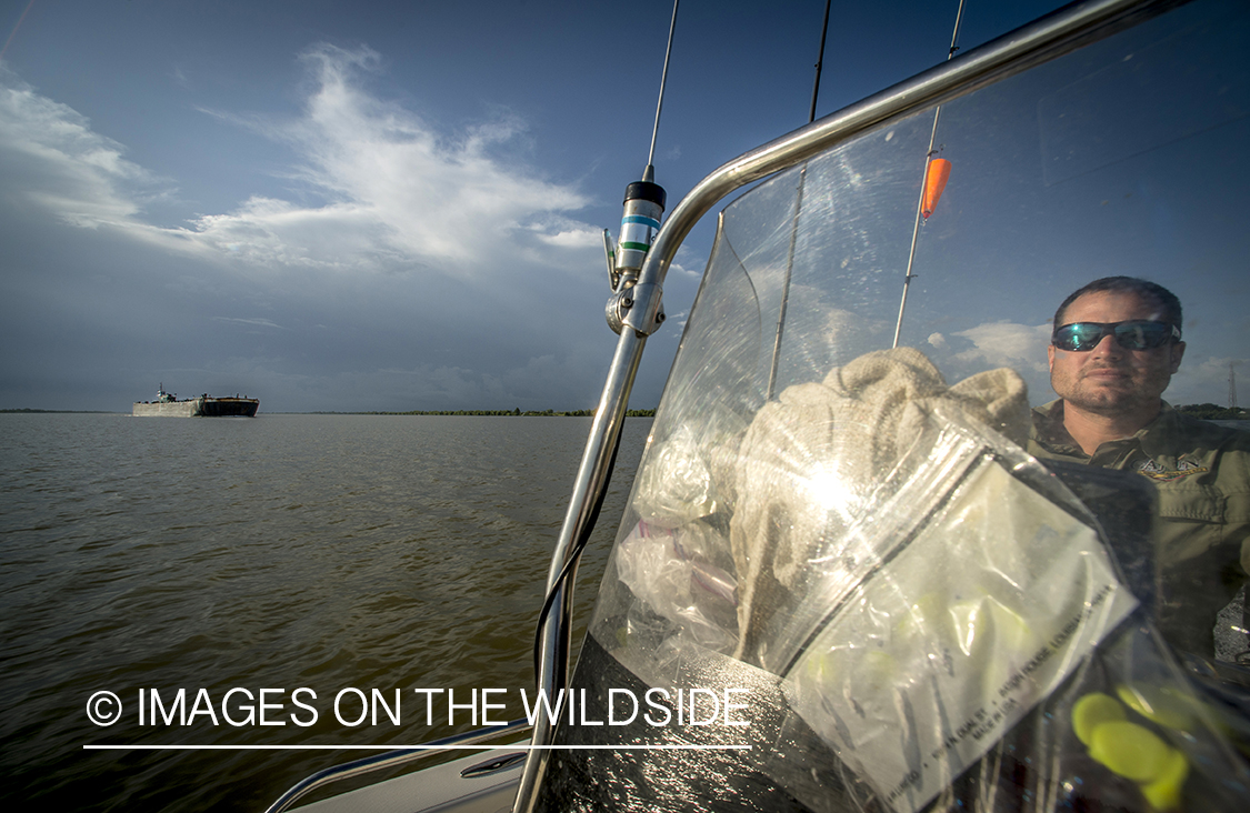 Fisherman on boat.