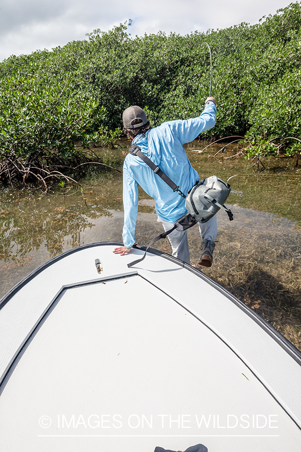 Saltwater flyfishing in Belize.