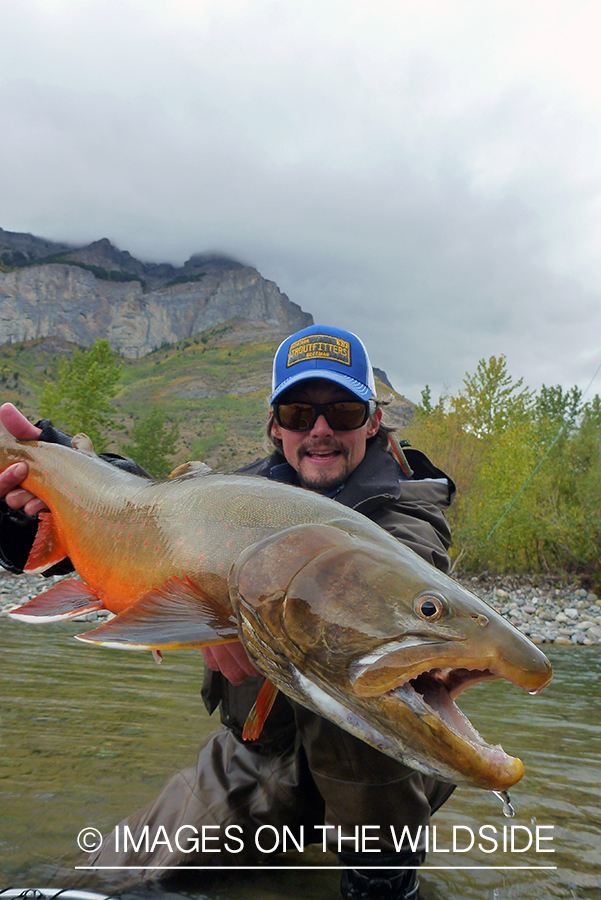 Flyfisherman with bull trout.