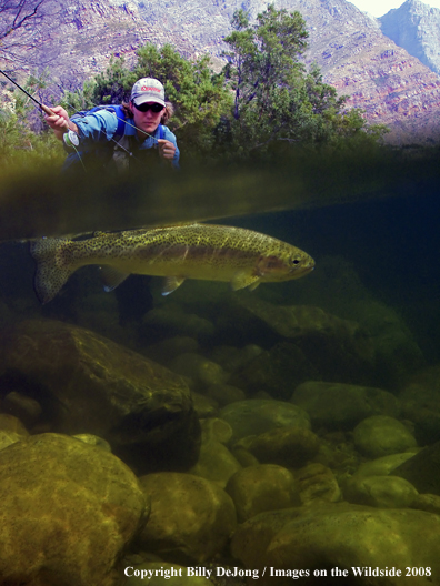 Split-level shot of flyfisherman with a Rainbow trout catch