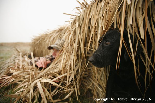 Duck hunting in winter