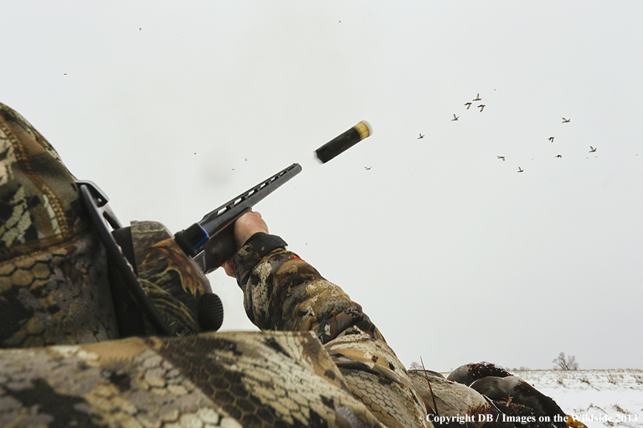 Waterfowl hunter shooting ducks.