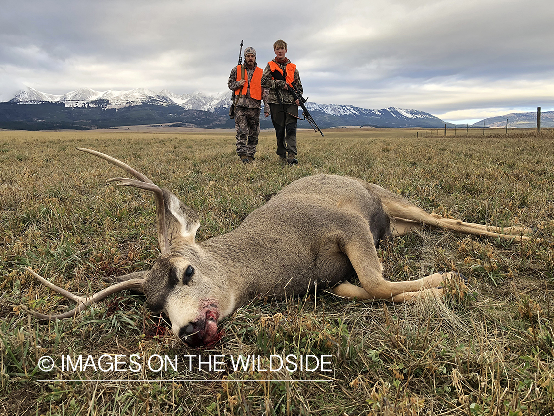 Father and son approaching downed mule deer.